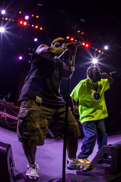 Public Enemy Proclaims "Free Palestine" During Their RiverBeat Festival Set