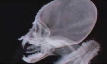 WATCH: The Devil Wears Prada Release New Video For "Alien"