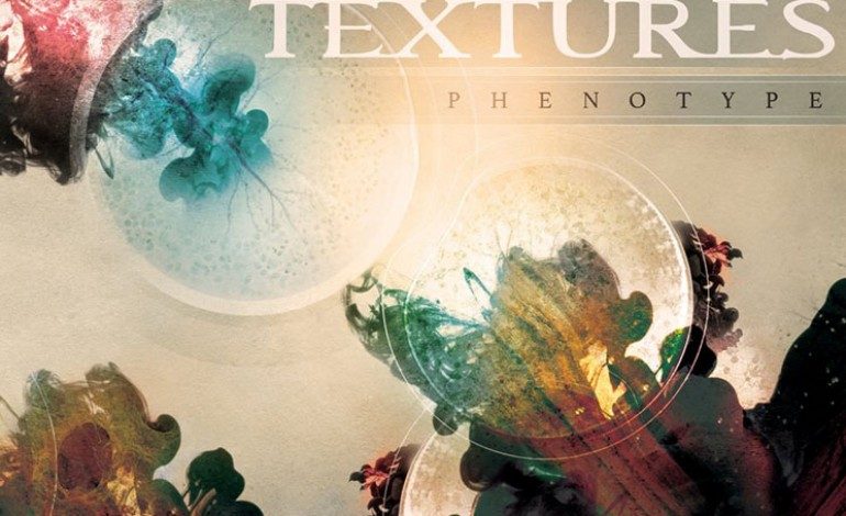 Textures – Phenotype