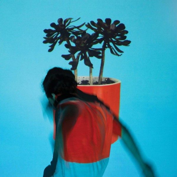 local-natives-sunlit-youth-album-new