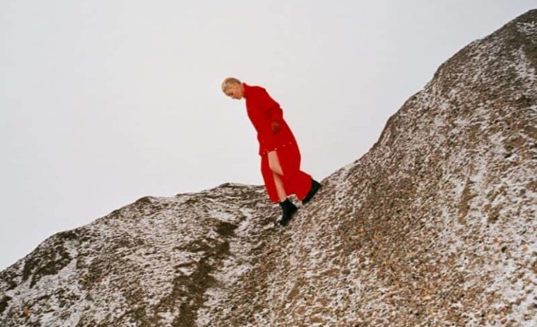 Cate Le Bon – Reward