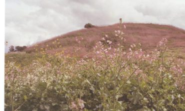Album Review: Emily A. Sprague - Hill, Flower, Fog