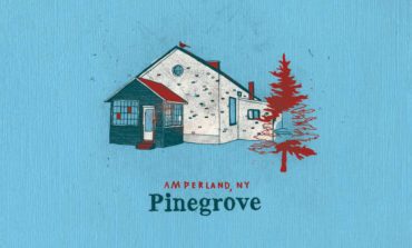 Album Review: Pinegrove - Amperland, NY
