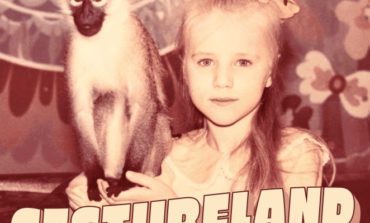 Album Review: David Duchovny - Gestureland