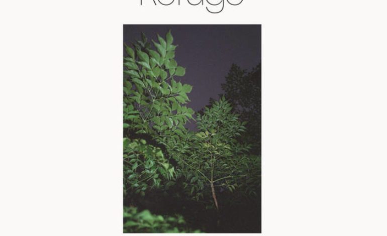 Album Review: Devendra Banhart and Noah Georgeson – Refuge