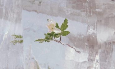 Album Review: Efterklang - Windflowers