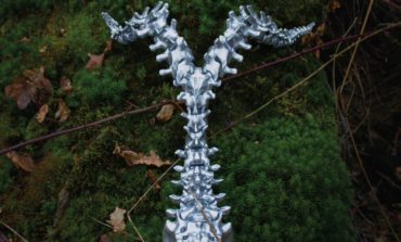 Album Review: Myrkur - Spine
