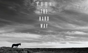 Album Review: Pete Yorn - The Hard Way