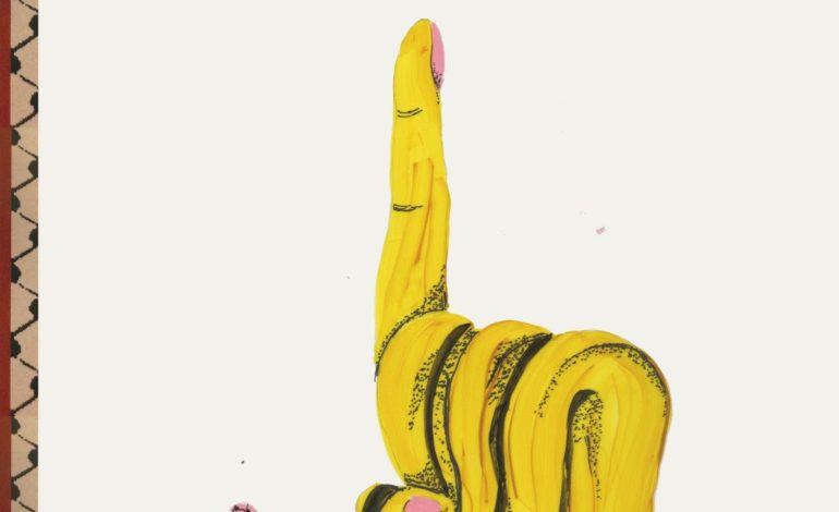 Album Review: Blonde Redhead – The Shadow of the Guest