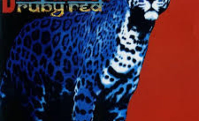 Dromfest Announces 2025 Lineup Featuring Scrawl, Phantom Tollbooth & The Dambuilders’ First Show Since 1996