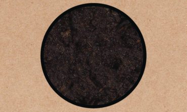 Album Review: Swans - Birthing