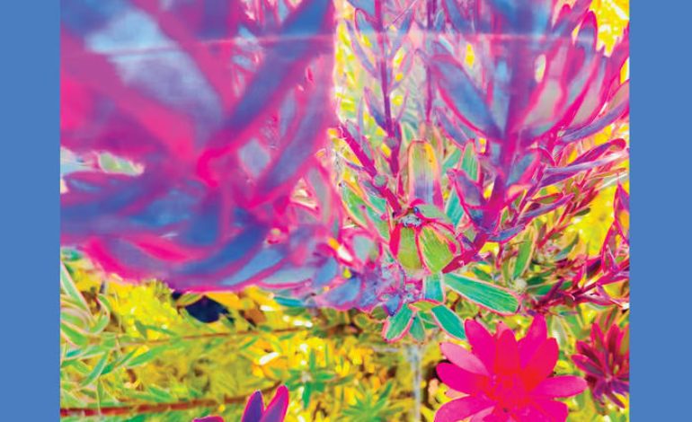 Album Review: The Reds, Pinks and Purples – The Past Is A Garden I Never Fed