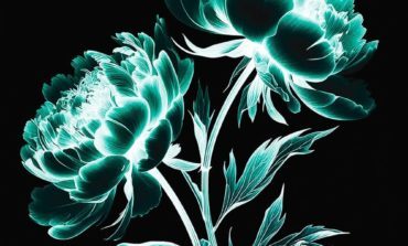 Album Review: Bush - I Beat Loneliness