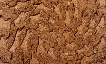 Album Review: Toro y Moi - Unerthed