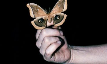 Album Review: Soulwax - All Systems Are Lying