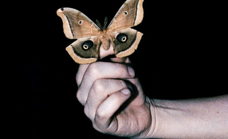 Album Review: Soulwax – All Systems Are Lying