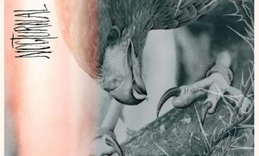 Album Review: Author & Punisher - Nocturnal Birding