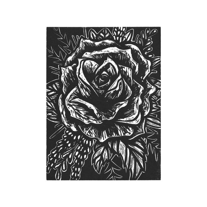 Album review: Night Windows - Nonsense