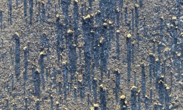 Album Review: Silver Liz - III