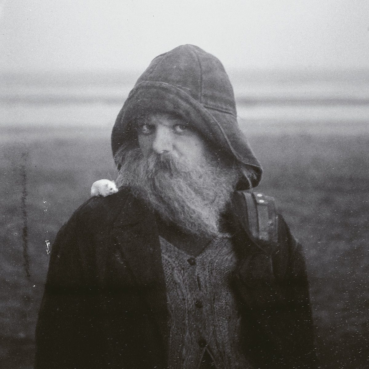 Album Review: Mary In The Junkyard - Role Model Hermit