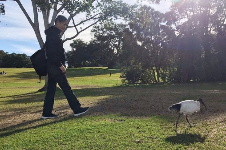 Merzbow Announces New Album Sedonis For June 2025 Release, Shares New Single “Sedonis A”