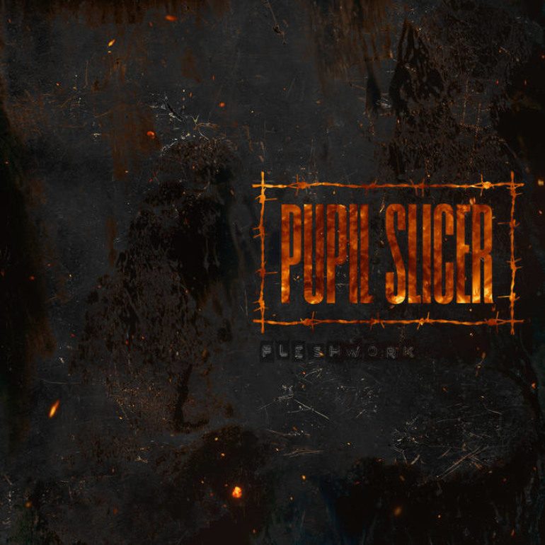Album Review: Pupil Slicer – Fleshwork
