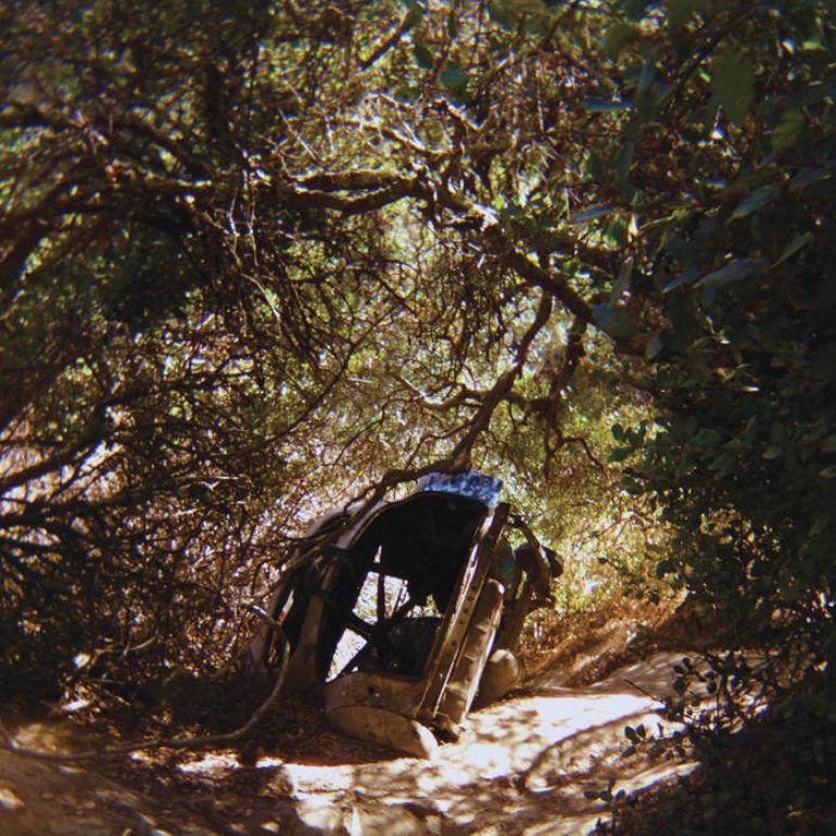 Album Review: Ty Segall – Possession