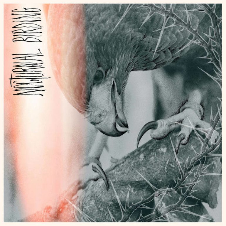 Album Review: Author & Punisher – Nocturnal Birding