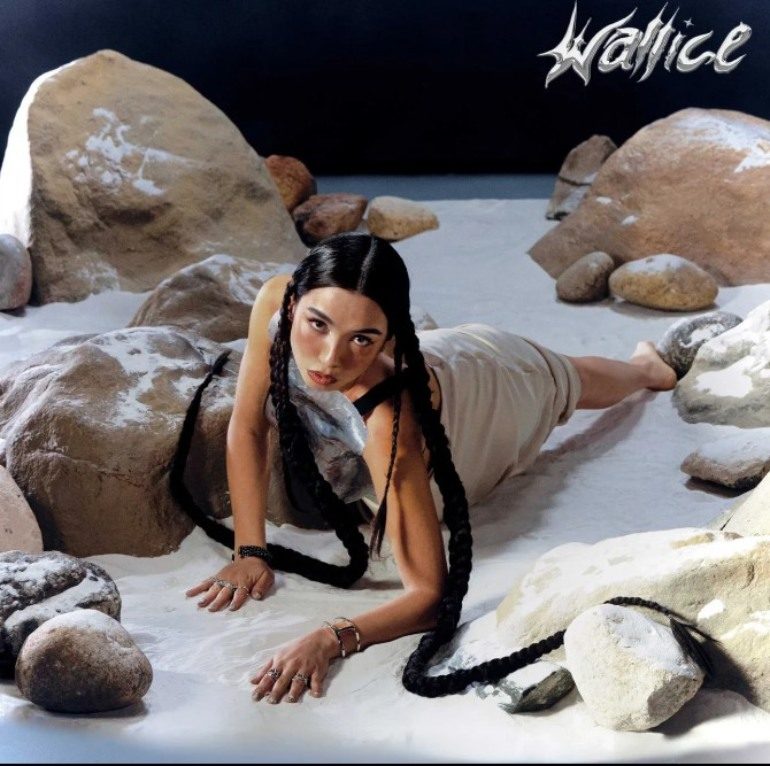 Album Review: Wallice – Mr. Big Shot